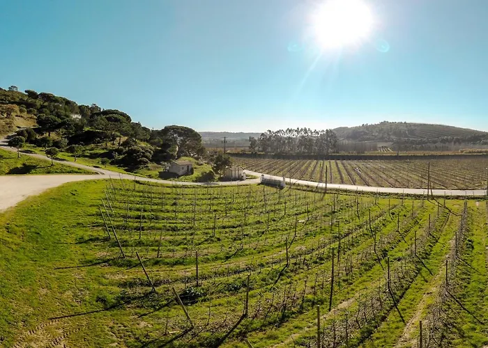 Casa Rustica, Perto Do Castelo De * Обидуш